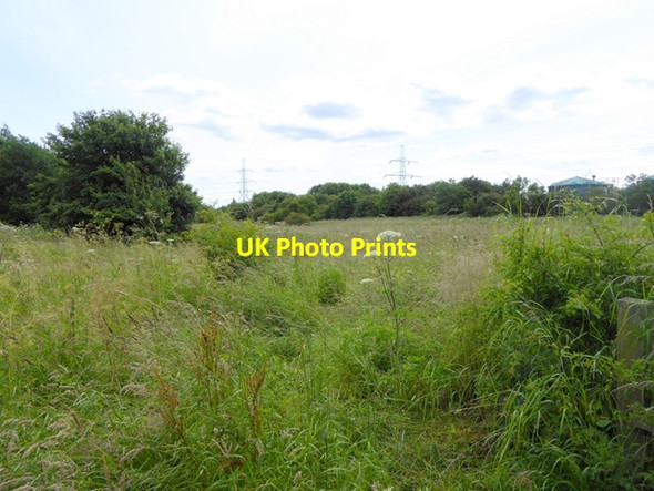 Photo 6"x4" Meadow and power lines near Cowpen Bewley. Billingham c2016