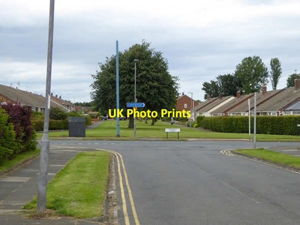 Photo 6"x4" Mowbray Road, Hartlepool Greatham\/NZ4927 c2016