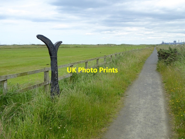 Photo 6"x4" The path to North Gare Sands Seaton Carew c2016