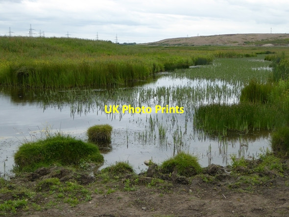 Photo 6"x4" Pond and marsh near North Gare Seaton Carew c2016