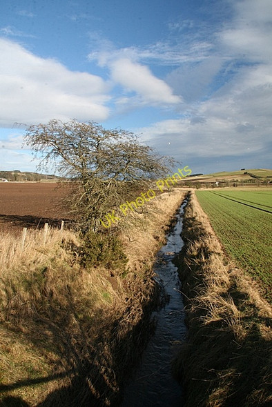 Photo 6"x4" Lemno water, Lunanhead Lunanhead c2009
