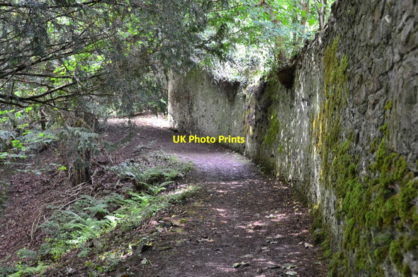 Photo 6"x4" Path by the wall, Drygrange Redpath\/NT5835 c2016