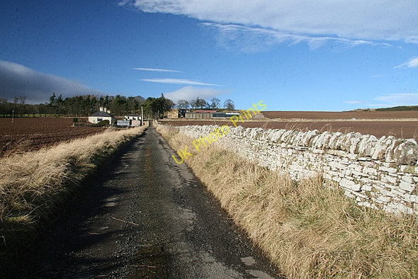 Photo 6"x4" Track to Baggerton farm Lunanhead c2009