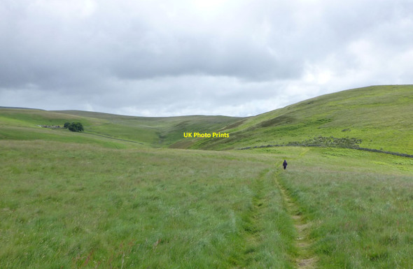Photo 6"x4" On Clennell Hill Clennell c2016 P1