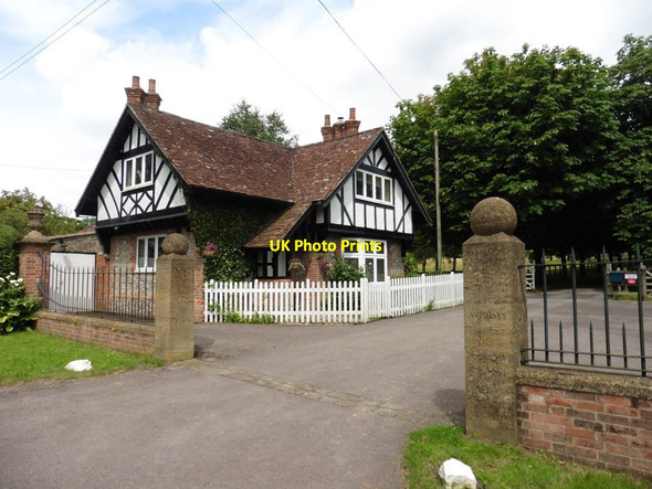 Photo 6"x4" West Lodge, Avishays Chard c2016