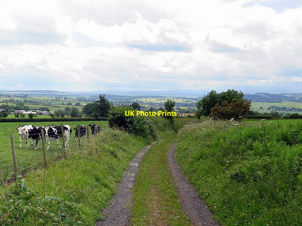 Photo 6"x4" Track near Little Salkeld Little Salkeld c2016
