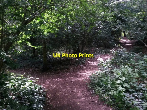 Photo 6"x4" Talbot Village: footpaths N10 and N37 meet Ensbury Park c2016