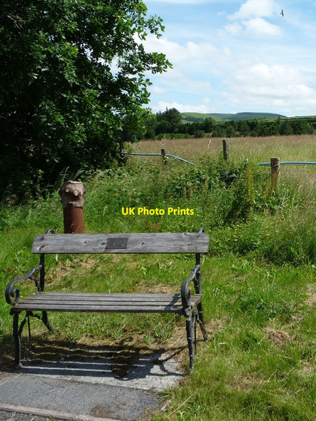 Photo 6"x4" Memorial bench, east side of the B4518 Pant-y-dwr c2016