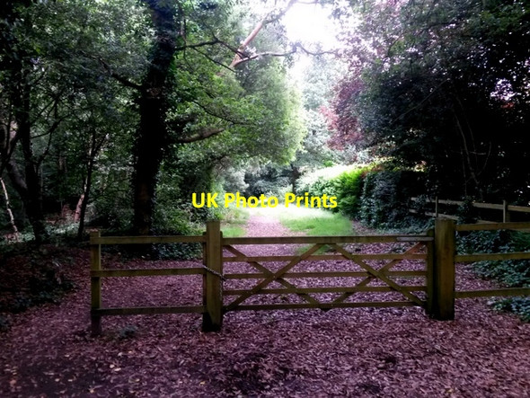 Photo 6"x4" Talbot Village: into the woods on footpath N16 Ensbury Park c2016