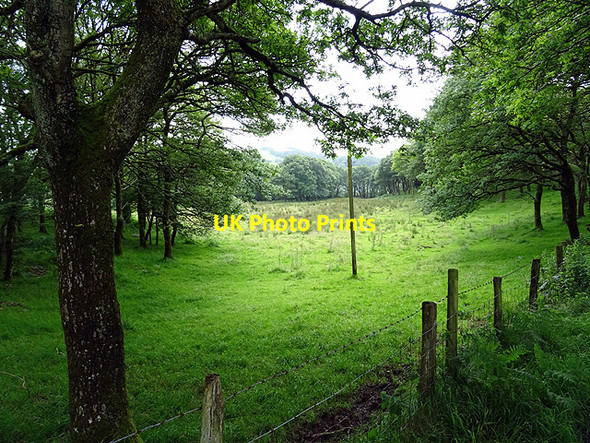 Photo 6"x4" Pasture above Cwm-cletwr Tre'r-dd\u00f4l\/SN6692 c2016