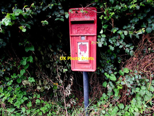 Photo 6"x4" Queen Elizabeth II postbox in a hedge, Mitchel Troy Monmouth\/Trefynwy c2016
