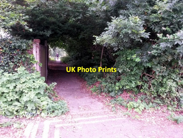 Photo 6"x4" Redhill: footpath O23 to Redhill Common Muscliff c2016