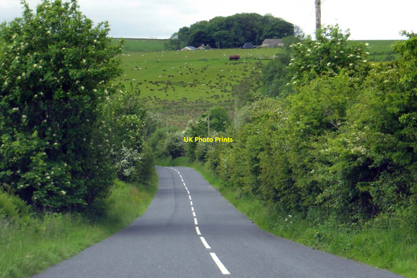 Photo 6"x4" The B6478 to Slaidburn Tosside c2015