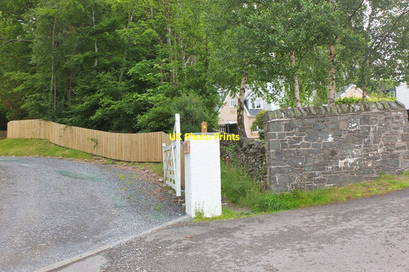 Photo 6"x4" New path at Craigerne Peebles\/NT2540 c2016