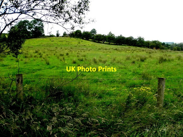 Photo 6"x4" Rushy ground, Drumnakilly Mountfield\/H5378 c2016
