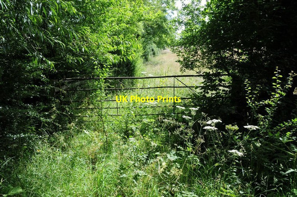 Photo 6"x4" Field gate Epwell c2016