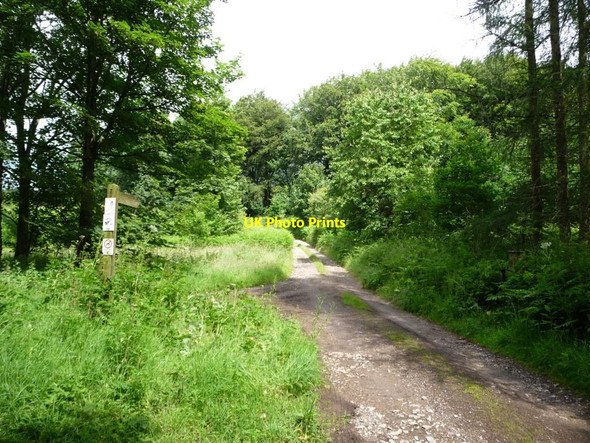 Photo 6"x4" Public footpath to Brackenthwaite and Harbour Flatt Appleby-in-Westmorland c2016
