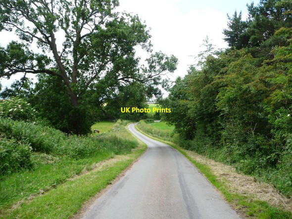 Photo 6"x4" The road from Flakebridge to Appleby Appleby-in-Westmorland c2016