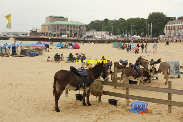Photo 6"x4" Donkeys on Weymouth beach Weymouth\/SY6779 c2016