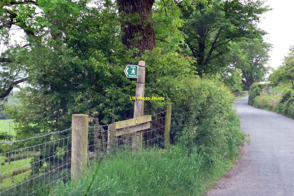 Photo 6"x4" Footpath to Dunsop Bridge Dunsop Bridge c2015