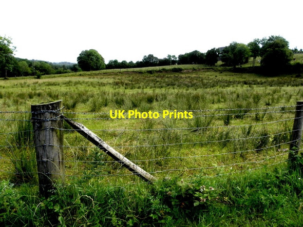 Photo 6"x4" Rushy ground, Drumscra Drumquin c2016