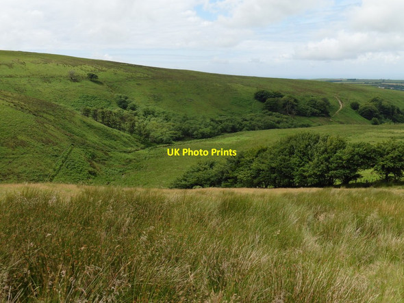 Photo 6"x4" The Eastern side of Butter Hill Swincombe c2016