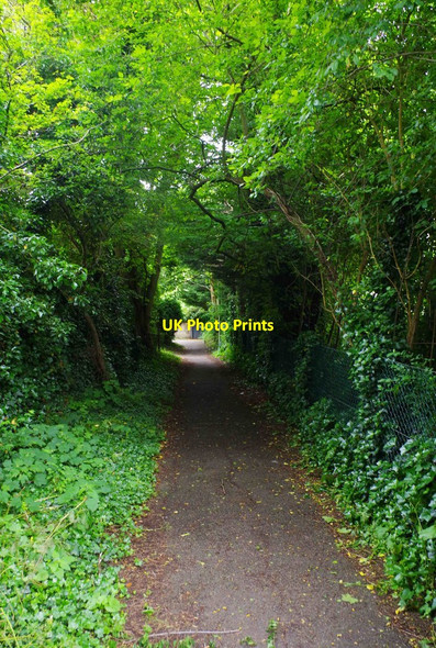 Photo 6"x4" Tree-lined public footpath to Newland, Witney, Oxon Witney c2016