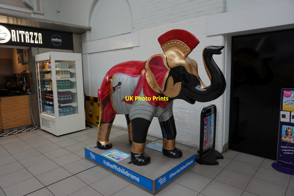 Photo 6"x4" Herd of Sheffield Sheffield\/SK3587 c2016