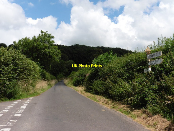 Photo 6"x4" Turning for Innsmead Lane Edington\/ST3839 c2016