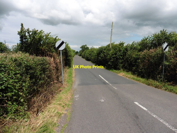 Photo 6"x4" Scotts Lane Catcott c2016