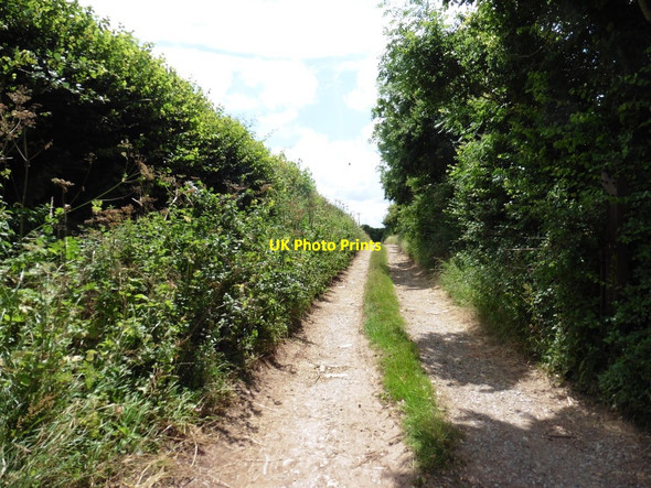 Photo 6"x4" Red Hill Lane Greinton c2016