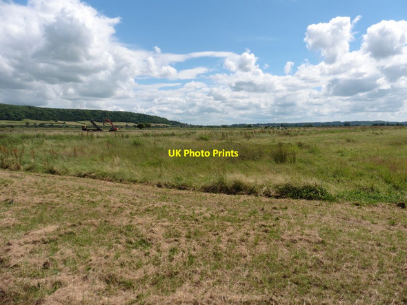 Photo 6"x4" North Moor Beer\/ST4031 c2016