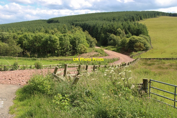 Photo 6"x4" Access road to Ladhope Moor Buckholm c2016