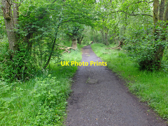 Photo 6"x4" West Highland Way approaching Craigallian Milngavie c2016