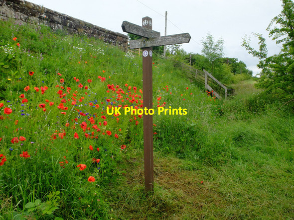 Photo 6"x4" The West Highland Way at Gartness Gartness\/NS5086 c2016