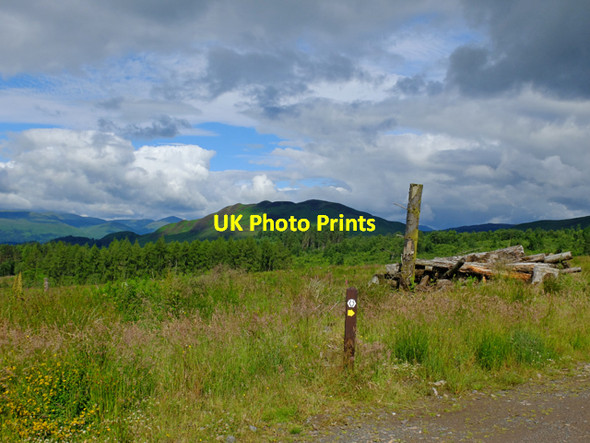 Photo 6"x4" West Highland Way marker in White's Plantation Buchanan Smithy c2016