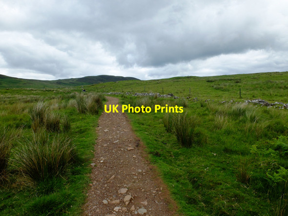 Photo 6"x4" West Highland Way between Garadh Ban Wood and Conic Hill Milton of Buchanan c2016