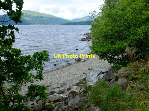 Photo 6"x4" Loch Lomond shoreline near Cashel Cashel Fm c2016