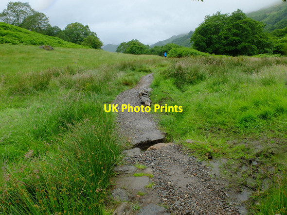 Photo 6"x4" West Highland Way approaching Doune Ardlui c2016