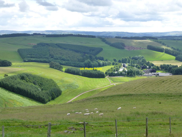 Photo 6"x4" Clennell  Clennell c2016