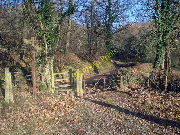 Photo 6"x4" Public footpath meets Barnett Wood Lower Lye\/SO4066 c2008