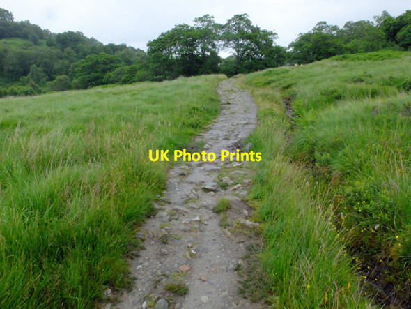 Photo 6"x4" West Highland Way in Glen Falloch Inverarnan c2016