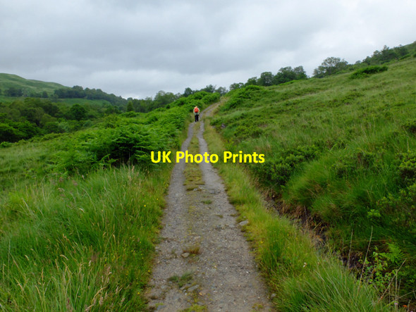Photo 6"x4" West Highland Way in Glen Falloch Inverarnan c2016 P1
