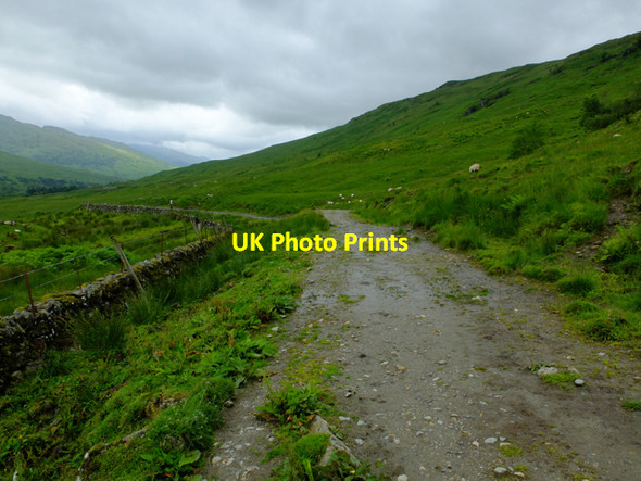 Photo 6"x4" West Highland Way near Keilator Crianlarich c2016