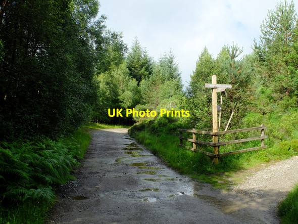 Photo 6"x4" Track junction at Dalrigh Tyndrum\/NN3330 c2016