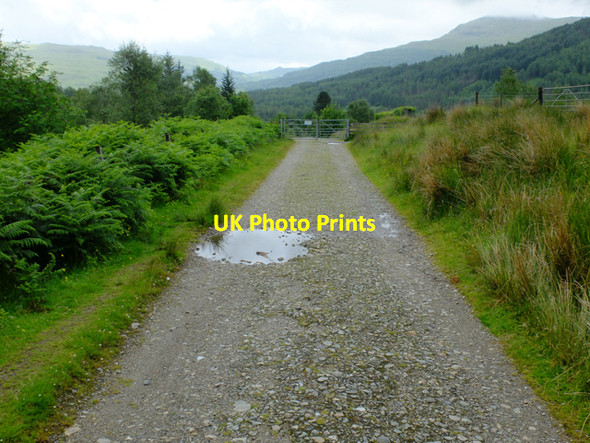 Photo 6"x4" The West Highland Way north of Tyndrum Clifton\/NN3230 c2016