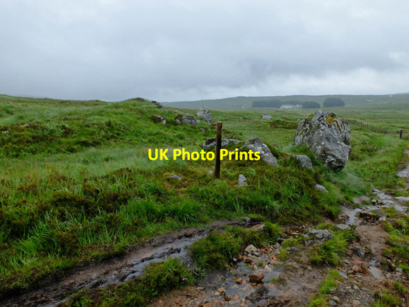 Photo 6"x4" Where the West Highland Way leaves the Kings House road Kings House Hotel c2016