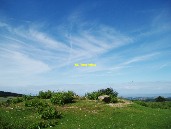 Photo 6"x4" Barrow and Folly Remains, Cothelstone Hill Cothelstone c2016