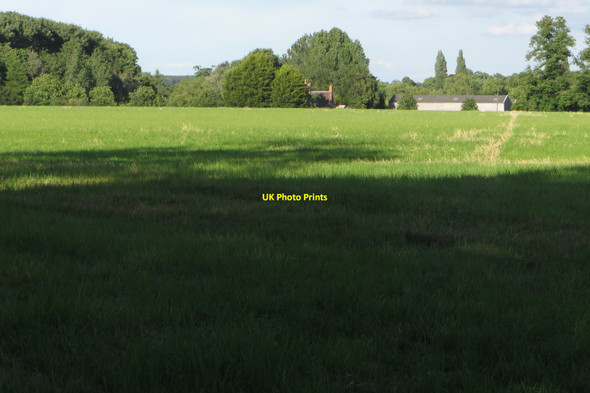 Photo 6"x4" Path to Chetwode Chetwode c2016