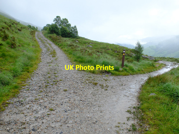 Photo 6"x4" Junction on the West Highland Way Kinlochmore c2016